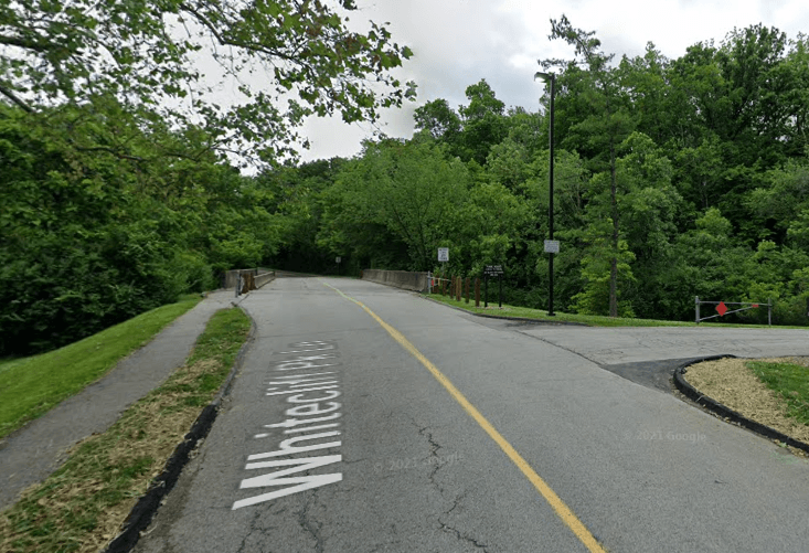 Whitecliff Park Lane Bridge