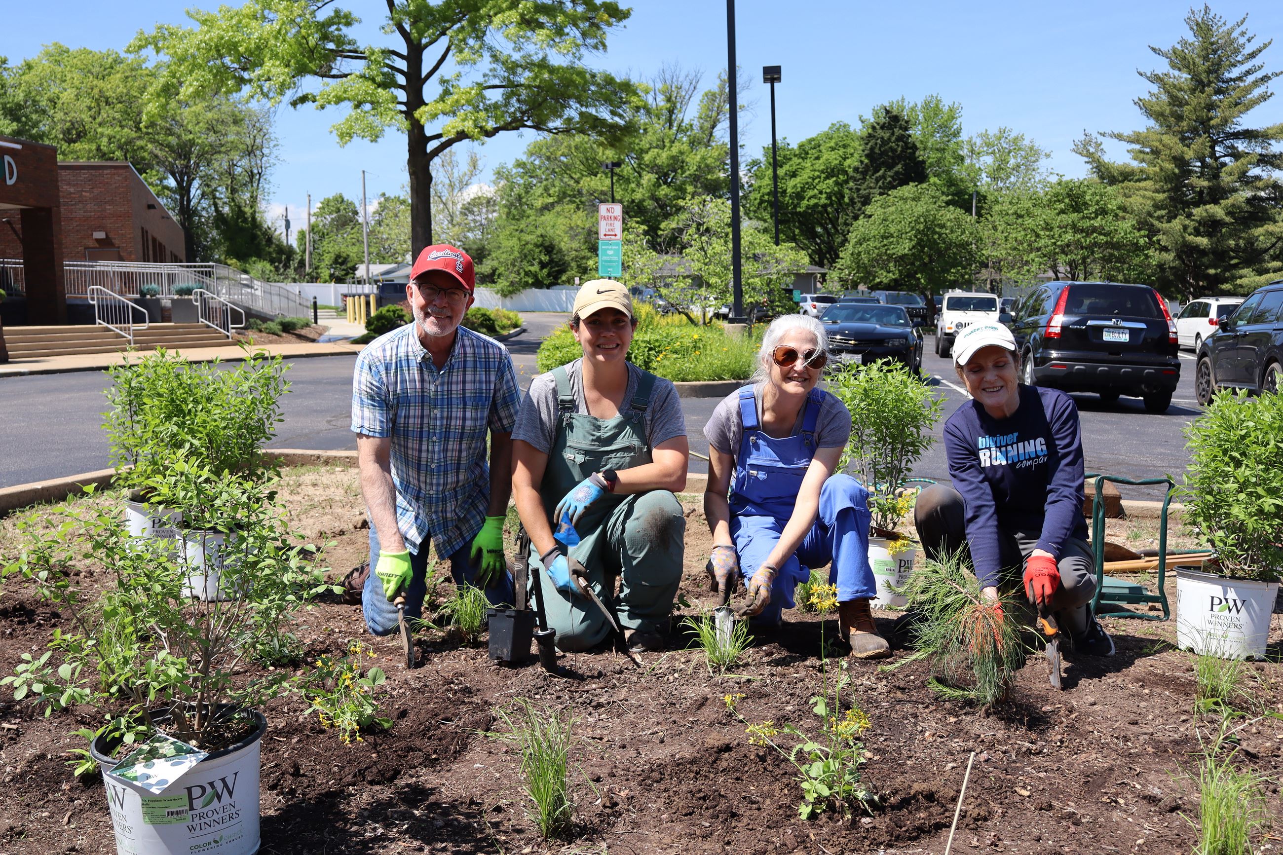 Volunteers planting