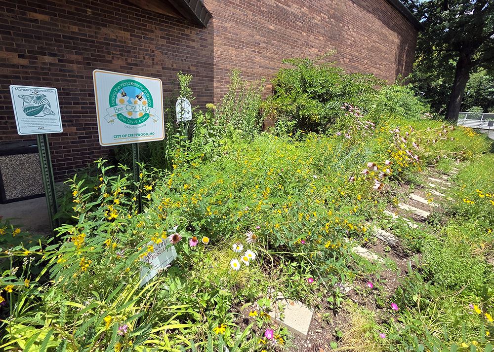 Community Center Polinator Garden Summer 2025