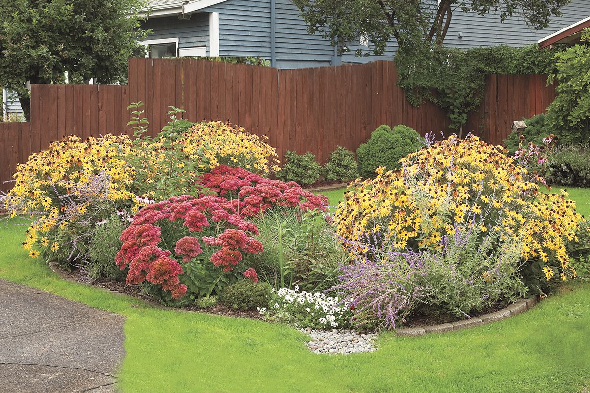 IMG_Photo of Rain Garden IMG_Photo of Rain Garden